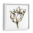 Boceto De Tulipán Pequeño I - Ethan Harper | Cuadro decorativo de Canvas Lab