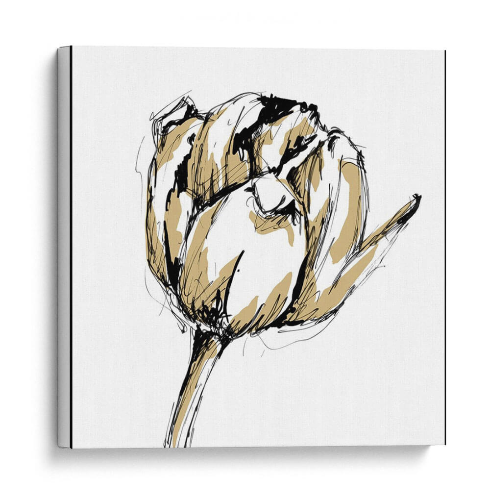 Pequeño Boceto De Tulipán Ii - Ethan Harper | Cuadro decorativo de Canvas Lab