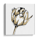 Pequeño Boceto De Tulipán Ii - Ethan Harper | Cuadro decorativo de Canvas Lab