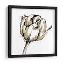 Pequeño Boceto De Tulipán Ii - Ethan Harper | Cuadro decorativo de Canvas Lab