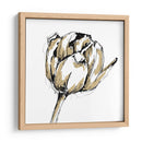 Pequeño Boceto De Tulipán Ii - Ethan Harper | Cuadro decorativo de Canvas Lab