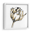 Pequeño Boceto De Tulipán Ii - Ethan Harper | Cuadro decorativo de Canvas Lab