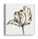 Pequeño Boceto De Tulipán Iii - Ethan Harper | Cuadro decorativo de Canvas Lab
