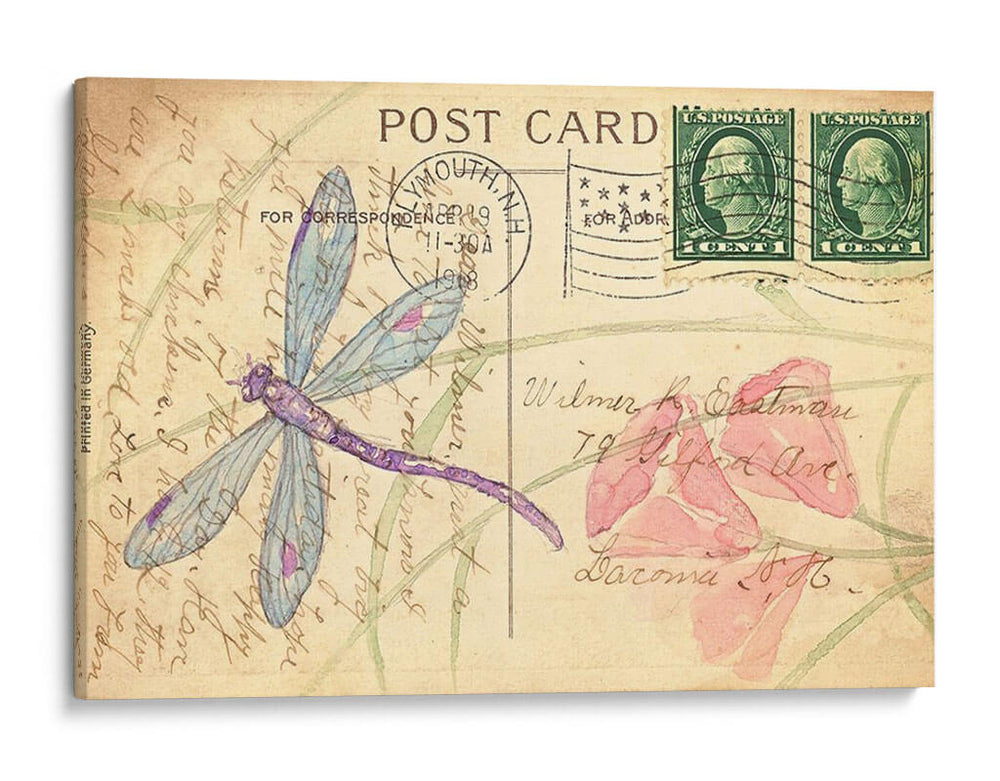 Tarjeta Postal Libélula I - Nancy S. Pallan | Cuadro decorativo de Canvas Lab