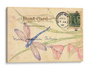 Postal Dragonfly Ii - Nancy S. Pallan | Cuadro decorativo de Canvas Lab