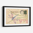 Postal Dragonfly Ii - Nancy S. Pallan | Cuadro decorativo de Canvas Lab