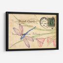 Postal Dragonfly Ii - Nancy S. Pallan | Cuadro decorativo de Canvas Lab