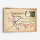 Postal Dragonfly Ii - Nancy S. Pallan | Cuadro decorativo de Canvas Lab