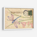 Postal Dragonfly Ii - Nancy S. Pallan | Cuadro decorativo de Canvas Lab
