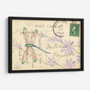 Postal Dragonfly Iii - Nancy S. Pallan | Cuadro decorativo de Canvas Lab