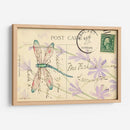 Postal Dragonfly Iii - Nancy S. Pallan | Cuadro decorativo de Canvas Lab