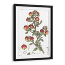 Plato Floral Antiguo I - Vision Studio | Cuadro decorativo de Canvas Lab