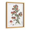 Plato Floral Antiguo I - Vision Studio | Cuadro decorativo de Canvas Lab