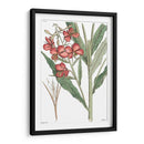 Plato Floral Antiguo Iii - Vision Studio | Cuadro decorativo de Canvas Lab