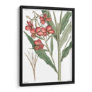 Plato Floral Antiguo Iii - Vision Studio | Cuadro decorativo de Canvas Lab