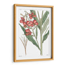 Plato Floral Antiguo Iii - Vision Studio | Cuadro decorativo de Canvas Lab