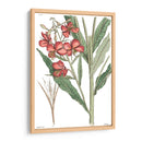 Plato Floral Antiguo Iii - Vision Studio | Cuadro decorativo de Canvas Lab