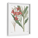 Plato Floral Antiguo Iii - Vision Studio | Cuadro decorativo de Canvas Lab