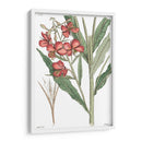 Plato Floral Antiguo Iii - Vision Studio | Cuadro decorativo de Canvas Lab