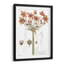 Placa Floral Antigua Iv - Vision Studio | Cuadro decorativo de Canvas Lab