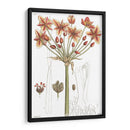 Placa Floral Antigua Iv - Vision Studio | Cuadro decorativo de Canvas Lab