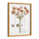 Placa Floral Antigua Iv - Vision Studio | Cuadro decorativo de Canvas Lab