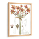 Placa Floral Antigua Iv - Vision Studio | Cuadro decorativo de Canvas Lab