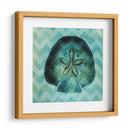 Chevron Shell Vi - Vision Studio | Cuadro decorativo de Canvas Lab