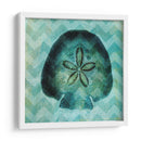 Chevron Shell Vi - Vision Studio | Cuadro decorativo de Canvas Lab