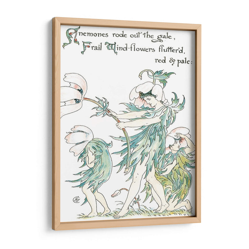 Shakespeares Garden I (Anemone) - Walter Crane | Cuadro decorativo de Canvas Lab