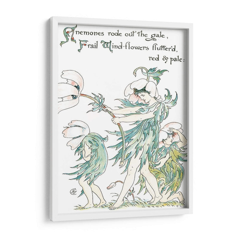 Shakespeares Garden I (Anemone) - Walter Crane | Cuadro decorativo de Canvas Lab