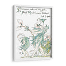 Shakespeares Garden I (Anemone) - Walter Crane | Cuadro decorativo de Canvas Lab