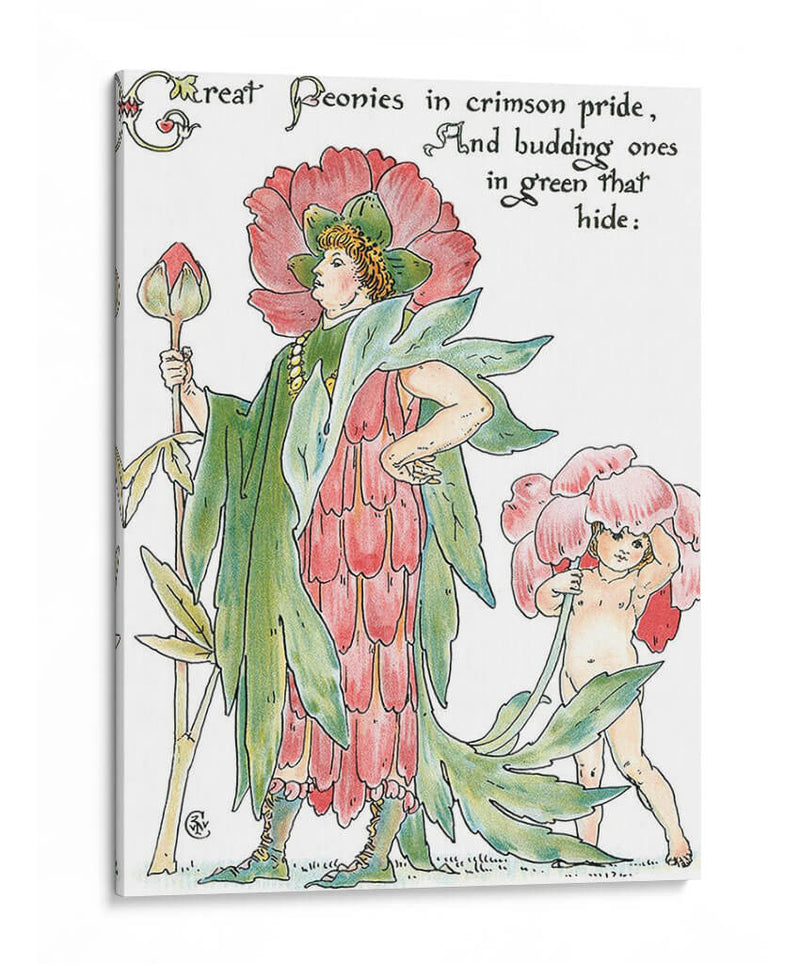 Shakespeares Garden V (Peonía) - Walter Crane | Cuadro decorativo de Canvas Lab