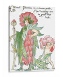 Shakespeares Garden V (Peonía) - Walter Crane | Cuadro decorativo de Canvas Lab