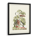 Vista Grandiosa I - Abraham Munting | Cuadro decorativo de Canvas Lab