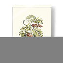 Vista Grandiosa I - Abraham Munting | Cuadro decorativo de Canvas Lab