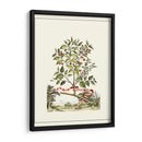 Grandiose View Iii - Abraham Munting | Cuadro decorativo de Canvas Lab