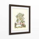 Grandiose View Iii - Abraham Munting | Cuadro decorativo de Canvas Lab