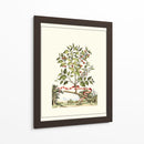Grandiose View Iii - Abraham Munting | Cuadro decorativo de Canvas Lab