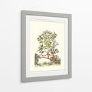 Grandiose View Iii - Abraham Munting | Cuadro decorativo de Canvas Lab
