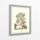 Grandiose View Iii - Abraham Munting | Cuadro decorativo de Canvas Lab