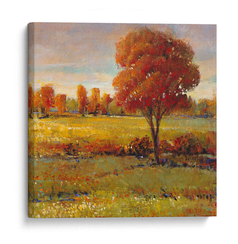 Campo En Otoño - Tim OToole | Cuadro decorativo de Canvas Lab