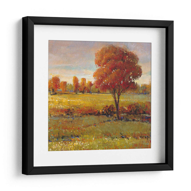 Campo En Otoño - Tim OToole | Cuadro decorativo de Canvas Lab