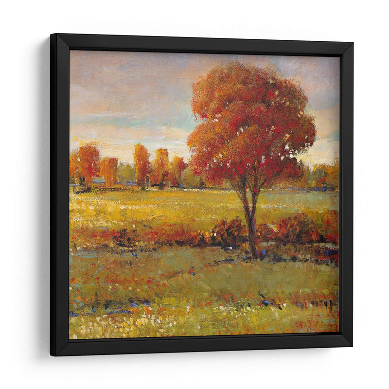 Campo En Otoño - Tim OToole | Cuadro decorativo de Canvas Lab