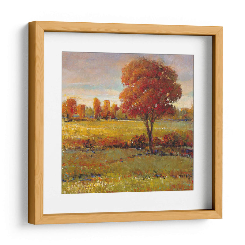 Campo En Otoño - Tim OToole | Cuadro decorativo de Canvas Lab