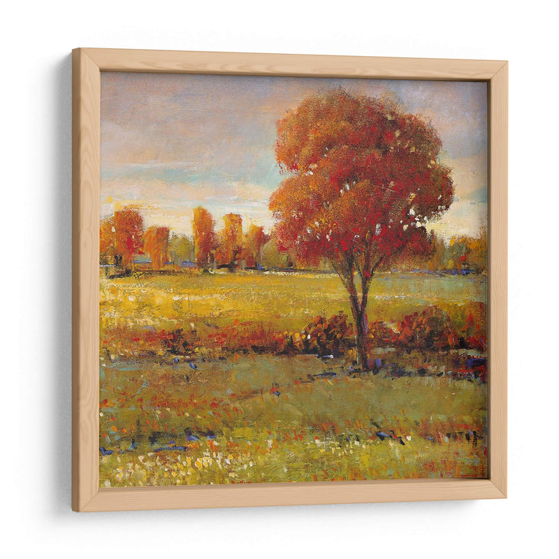 Campo En Otoño - Tim OToole | Cuadro decorativo de Canvas Lab