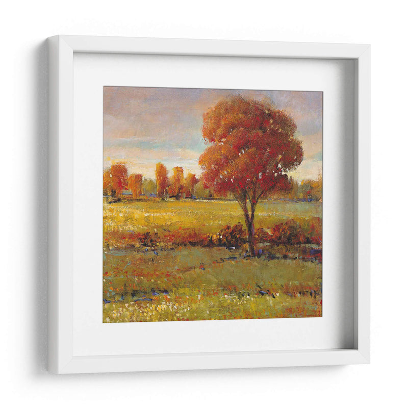 Campo En Otoño - Tim OToole | Cuadro decorativo de Canvas Lab