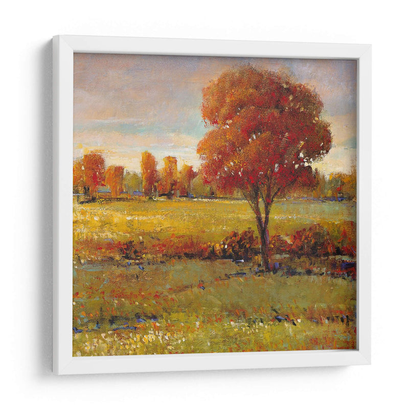 Campo En Otoño - Tim OToole | Cuadro decorativo de Canvas Lab