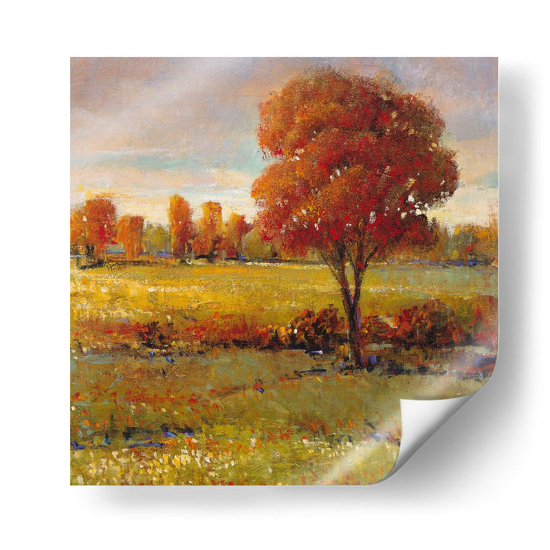 Campo En Otoño - Tim OToole | Cuadro decorativo de Canvas Lab