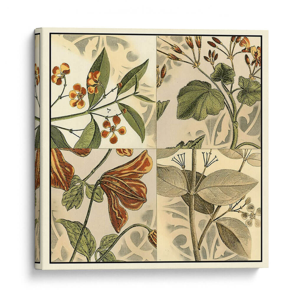 Cuadrante Botánico Ii - Vision Studio | Cuadro decorativo de Canvas Lab